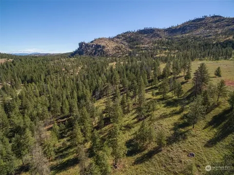 30 Ruthless Rd, Riverside, WA 98849 photo 20