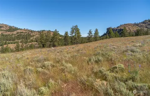 30 Ruthless Rd, Riverside, WA 98849 photo 28