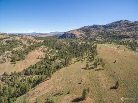30 Ruthless Rd, Riverside, WA 98849 photo 15