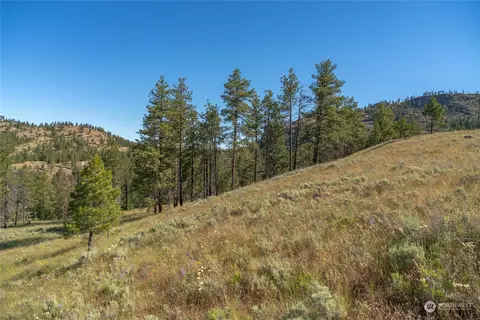 30 Ruthless Rd, Riverside, WA 98849 photo 26