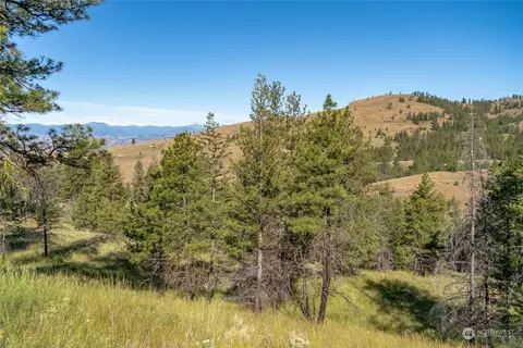 30 Ruthless Rd, Riverside, WA 98849 photo 14