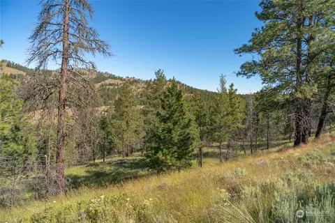30 Ruthless Rd, Riverside, WA 98849 photo 18