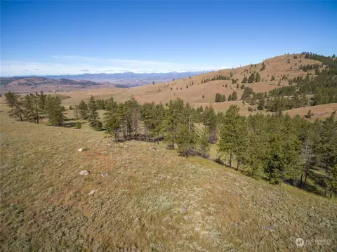 30 Ruthless Rd, Riverside, WA 98849 photo 21