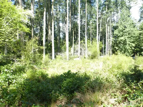 681 Pavey Blvd, Lopez Island, WA 98261