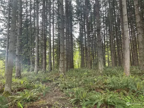 21721 Orville Rd E, Orting, WA 98360 photo 12