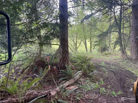 21721 Orville Rd E, Orting, WA 98360 photo 16