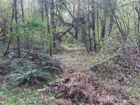 21721 Orville Rd E, Orting, WA 98360 photo 6