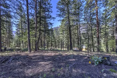 20 Cassal Rd, Winthrop, WA 98862
