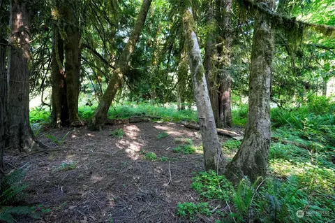 0 Ridge Rd, Brinnon, WA 98320