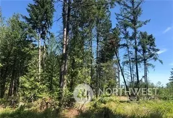 21900 70th Ave E, Spanaway, WA 98387 photo 4