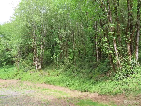 200 Echo Ln, Longview, WA 98632 photo 23