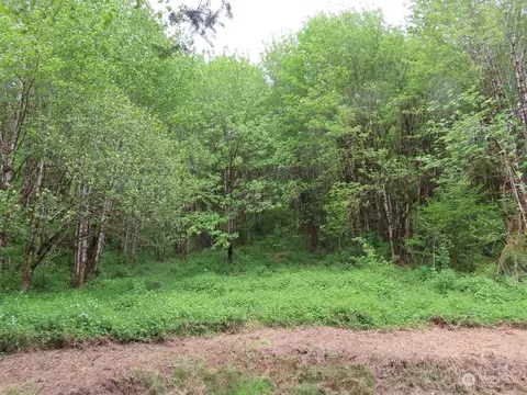 200 Echo Ln, Longview, WA 98632 photo 3