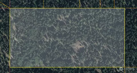 1111 Tbd Forest Rd, Oroville, WA 98844