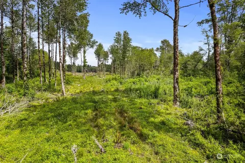 70 Joy Ln #LOT 7, Humptulips, WA 98552