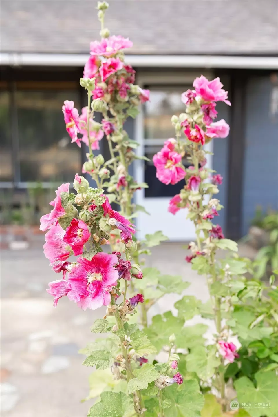 Other - 808 E Hobert Ave, Ellensburg, WA 98926 photo 5 of 8