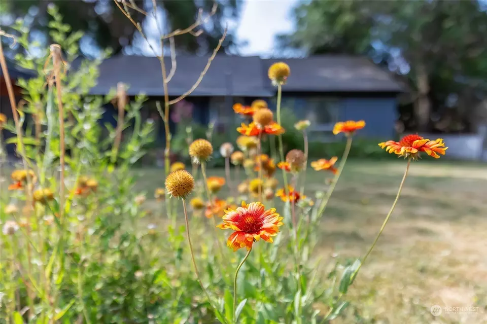 Exterior - 808 E Hobert Ave, Ellensburg, WA 98926 photo 11 of 14
