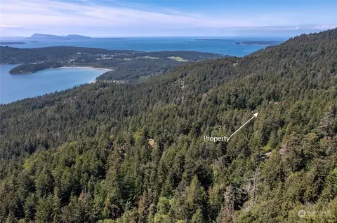 263 Hidden Ridge Trl, Eastsound, WA 98245 photo 37