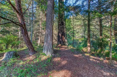 263 Hidden Ridge Trl, Eastsound, WA 98245 photo 35