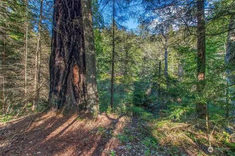 263 Hidden Ridge Trl, Eastsound, WA 98245 photo 34