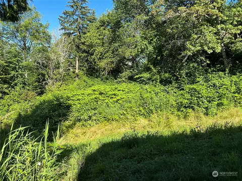 0 Larson St W, Eatonville, WA 98328