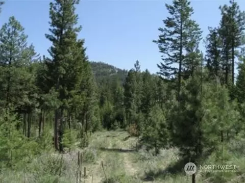 597 J H Green Rd, Riverside, WA 98849