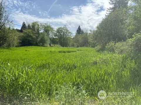 0 Nnnn Delameter Rd, Castle Rock, WA 98611