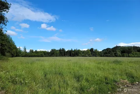 0 Williams Creek Rd, Oakville, WA 98568
