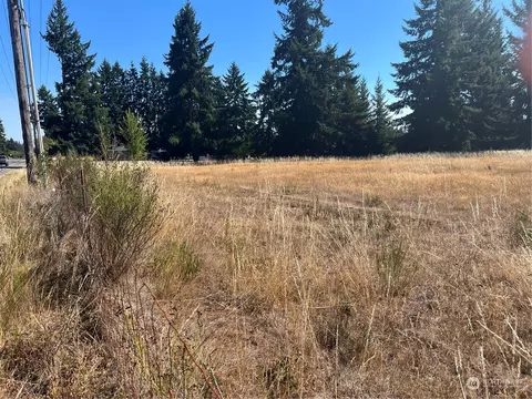18515 Sargent Rd SW, Rochester, WA 98579