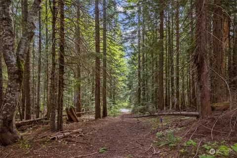 0 Lot 60 Mountain Home Ln, Easton, WA 98925