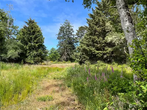 3639 Larkin Rd, North Cove, WA 98547