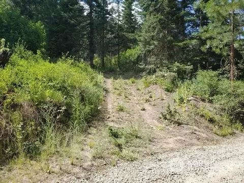1 Stargazer Ln, Leavenworth, WA 98826