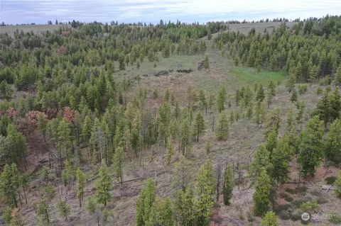 0 Pine Creek Rd, Bickleton, WA 98322 photo 7