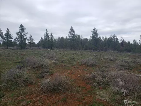0 Pine Creek Rd, Bickleton, WA 98322 photo 10
