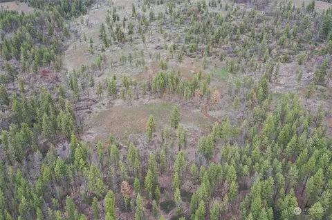 0 Pine Creek Rd, Bickleton, WA 98322 photo 17