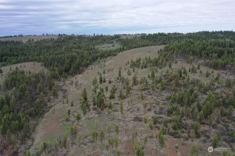 0 Pine Creek Rd, Bickleton, WA 98322 photo 5