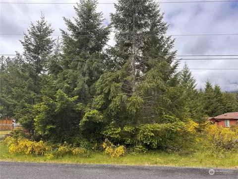 105 Hemlock Ln, Packwood, WA 98937