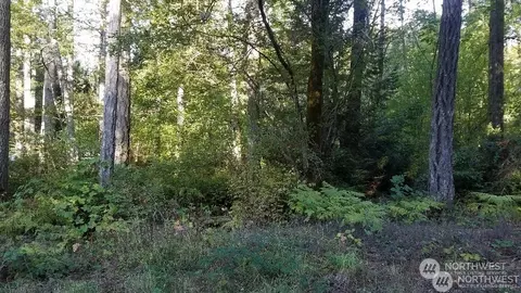 0 SE Arcadia Pl, Shelton, WA 98584