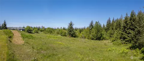134 Paul Joseph Ter, Sequim, WA 98382 photo 20