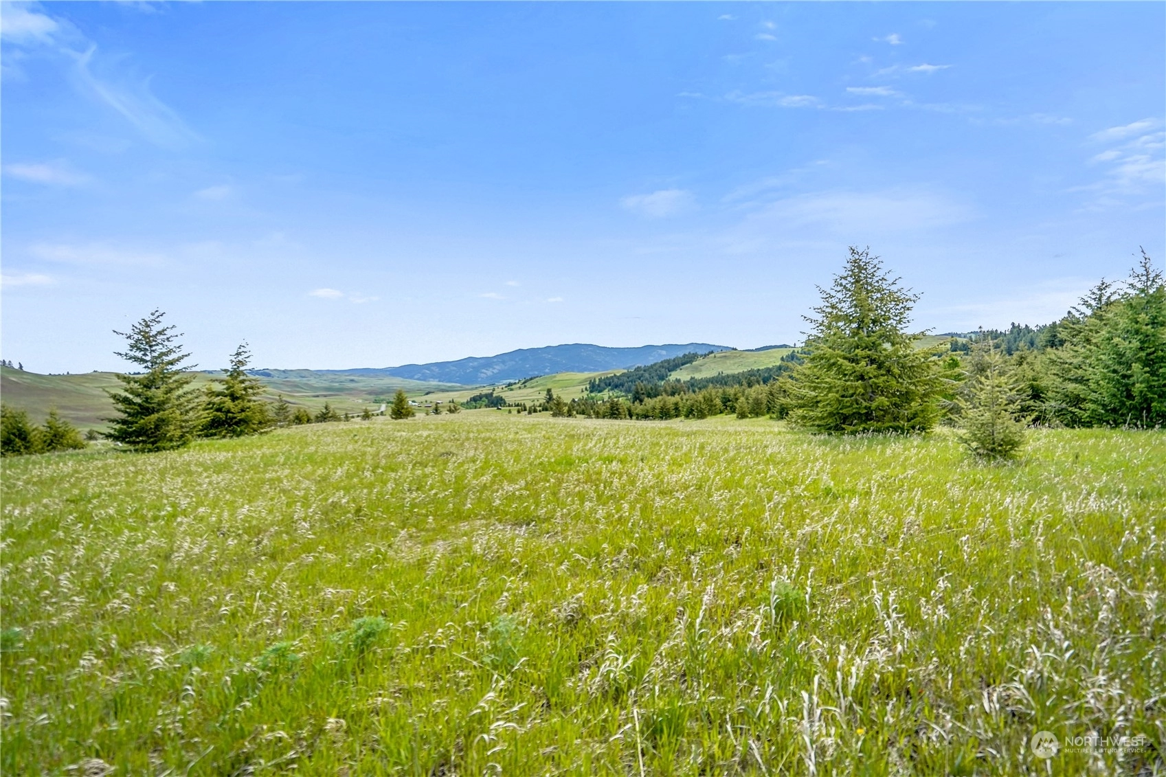 111 Moose Mtn Rd  
