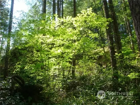 16 Ws1 Blk 3 #LOT 16B, Hoodsport, WA 98548