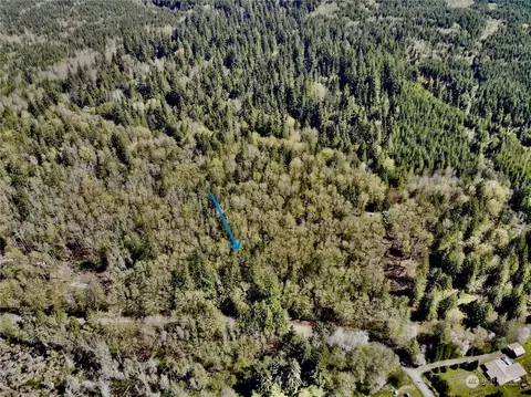 11 Nnn Leland Valley Rd E, Quilcene, WA 98376