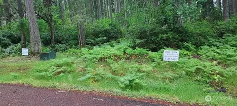 12721 100th St, Anderson Island, WA 98303