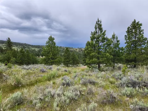 0 Tbd Reeves Basin Rd, Tonasket, WA 98855