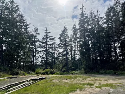 215 Nn Birch Ln, Ocean Park, WA 98640