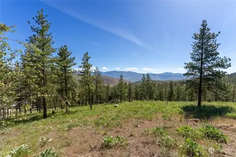 22 Lodgepole Dr, Winthrop, WA 98862 photo 6