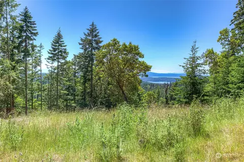 1241 B Mt Crest Dr, Orcas Island, WA 98245 photo 3