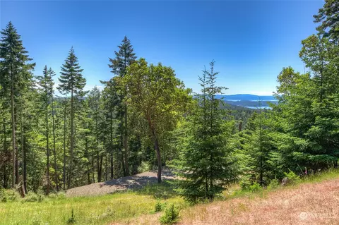 1241 B Mt Crest Dr, Orcas Island, WA 98245 photo 2