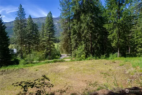 70 Chechaquo Ranch Rd, Mazama, WA 98833