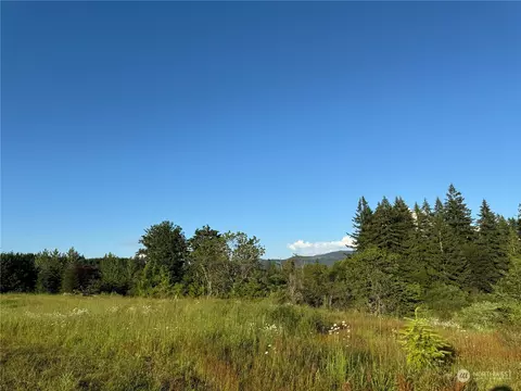 25032 SE 384th St, Enumclaw, WA 98022 photo 35