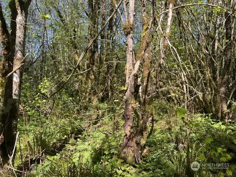 0 Johnson Rd, Onalaska, WA 98570 photo 25
